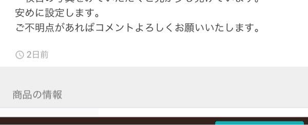 2日前と書いてあると言うことは、2日前には出品者がメルカリにオン