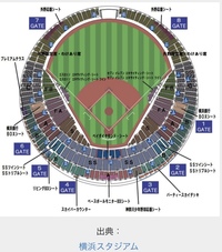 阪神タイガースの試合中継にいつも女の子二人阪神の応援席で映るので Yahoo 知恵袋