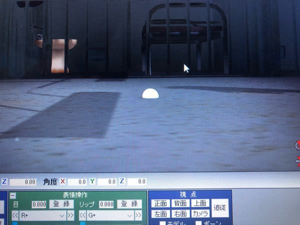 raymmdに関する質問です。下記の画像の白いやつを消したいので 