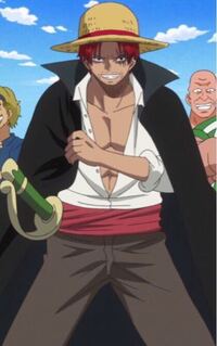 Onepieceの麦わらの一味の体重 Onepieceのキャラクタ Yahoo 知恵袋