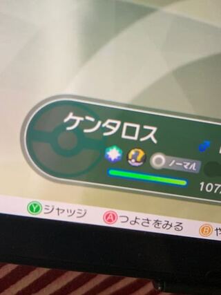 ピカブイのポケモンボックスでケンタロスだけについてたんですけど この名前の Yahoo 知恵袋