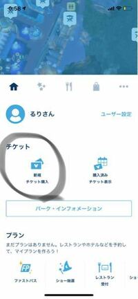 ディズニーのファストパスがその場に行かなくても取れる機能って画像 Yahoo 知恵袋