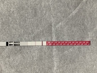 ラッキーテストについて質問お願いします 最終月経が7 9生理周期 Yahoo 知恵袋