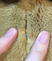 07年くらいにbuildabearで犬のぬいぐるみを作り そ Yahoo 知恵袋