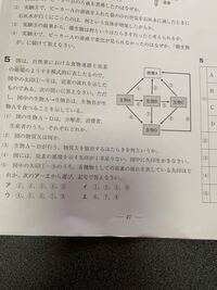 中学3年生の理科です 食物連鎖の分野です 教えて頂きたいです Yahoo 知恵袋