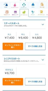 ディズニーのeチケットを買いました 私のスマホに表示されたチケットは Yahoo 知恵袋