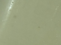 ホーローのお風呂の黒カビの取り方 専用のクリームを売ってますのでホームセン Yahoo 知恵袋