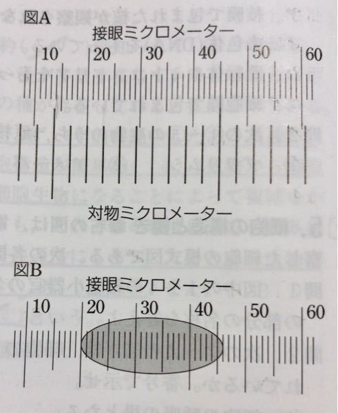 問2図aから この倍率における接眼ミクロメーター1目盛りの長さは何mｍか Yahoo 知恵袋