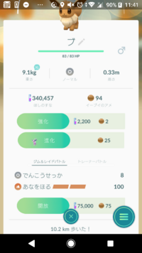 ポケモンの世界の夜って何時から何時までですか イーブイをブラッキーに進 Yahoo 知恵袋