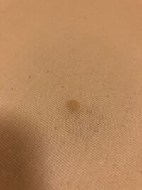 一昨日一滴だけ茶色っぽい血が膣から出ました 着床出血かと疑いまし Yahoo 知恵袋