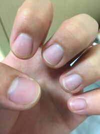 男爪と女爪の違いがわかりません 違いが分かる方は教えて Yahoo 知恵袋