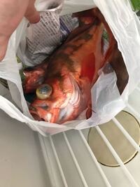 ベラのお勧めの調理法を教えてください 淡白な白身魚ですから 煮付けや唐揚 Yahoo 知恵袋