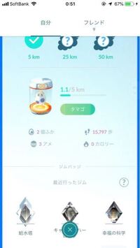 ポケモンgoのはじめからもってる無限孵化装置と孵化装置の違いはなんです Yahoo 知恵袋