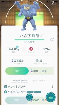 ポケモンdpで カイリキーの性格でいじっぱりとようきどちらが Yahoo 知恵袋