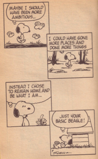 4コマ漫画 Peanuts Snoopy を読んでいるのですが オ Yahoo 知恵袋