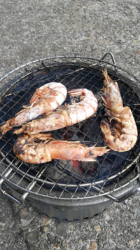 アパートのベランダで炭火で七輪使ってナスや秋刀魚しいたけ餅焼き鳥焼 Yahoo 知恵袋