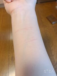 クソみたいな男しか寄ってこなくて ちゃんとした恋愛ができなく Yahoo 知恵袋