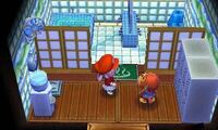 どうぶつの森南の島の無限増殖バグのやり方を教えてください やり方をほぼ全部見 Yahoo 知恵袋