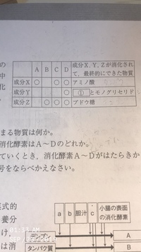 分解消化酵素理科中2 この表はa ペプシンb アミラーゼc リ Yahoo 知恵袋