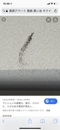 賃貸アパートの壁紙についてです 賃貸アパートに三年間ほど住ん Yahoo 知恵袋