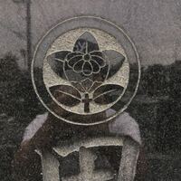 家紋の 丸に橘 についてなのですが この家紋にはどんな意味があるのでしょ Yahoo 知恵袋