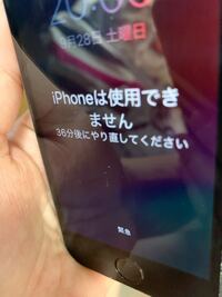 Iphoneのパスコードを要求とは何のことですか パスワードを入力してく Yahoo 知恵袋