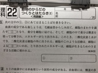 さしずめ という言葉を中学生にわかりやすく説明しなければならない Yahoo 知恵袋