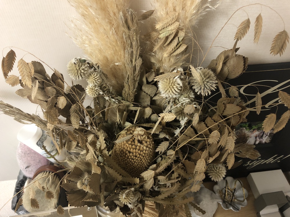 ドライフラワーが好きで、部屋に沢山飾りたいのですが、猫が2匹います 