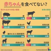 人間より寿命の長い動物を教えてください ほ乳類では ゾウ １０ Yahoo 知恵袋