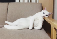 車のナンバーについて車には１ナンバーや３ナンバー ８ナンバーなど様々ありますが Yahoo 知恵袋