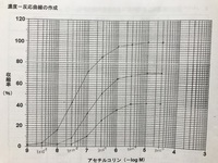 至急 エクセルで片対数グラフを作成する方法について質問です Yahoo 知恵袋