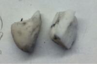 割れにくい消しゴムってないですか Monoをつかっているのですが 粉 Yahoo 知恵袋