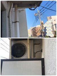 洗濯物をベランダで干していると写真のような茶色い物体が物干し竿や洗濯物に着く Yahoo 知恵袋