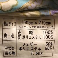 中綿がポリエステルのダウン風 の洗濯についてコート類は全てクリーニ Yahoo 知恵袋