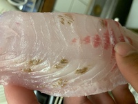 煮魚 めばる の身の中に黒い小さな点がいくつもあって 魚屋に問い合 Yahoo 知恵袋