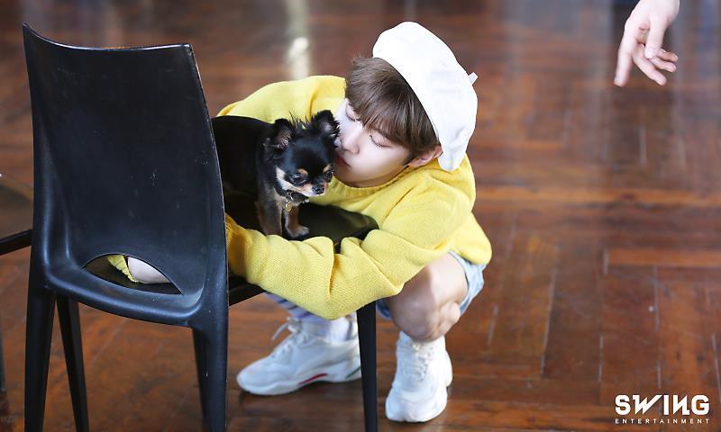 ヨンタン 犬 種 テヒョンと愛犬ヨンタン Btsファンのゆるゆるブログ Docstest Mcna Net