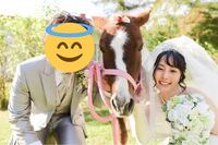 ディズニーで結婚式をあげると離婚するというジンクスはありますか 聞い Yahoo 知恵袋