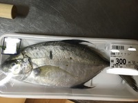 こんにちは ご教授宜しくお願い致します 魚屋さんで オキアジ なるものを買 Yahoo 知恵袋