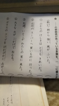 修飾語が係ってる言葉を書くんですが 意味がわからなくなってしまいました 子 Yahoo 知恵袋