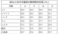 生物基礎シャルガフの規則で アデニンとチミン グアニンとシトシンの相対的含 Yahoo 知恵袋