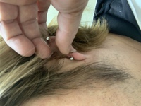 ワンピースフィルムzのedでキャラの幼少期が写りますが わからない人がいます Yahoo 知恵袋