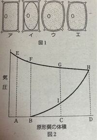 ユキノシタの葉を使った原形質分離の実験についての質問です 原形質分離をした細 Yahoo 知恵袋