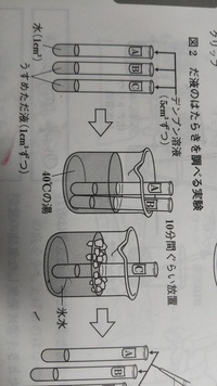 中２の理科問題で分からない問題があります 理科の実験２本の試験管aa Yahoo 知恵袋