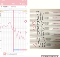 排卵検査薬と基礎代謝どちらを信じる 基礎代謝は上昇を始めてるような気がする Yahoo 知恵袋