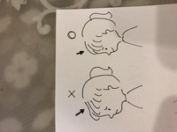 爪が根元から剥がれそうになってます 足の爪の根元が白くなって Yahoo 知恵袋