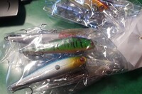 ダツ釣りについて教えてください 最近釣りにはまりました 場所は平塚の Yahoo 知恵袋