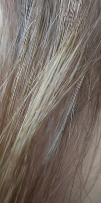 ヘアカラーに関する質問です２ヶ月おきのペースで 髪色を明るく ブ Yahoo 知恵袋