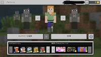 マインクラフトwindows10版で1 22現在バージョンで自作スキ Yahoo 知恵袋