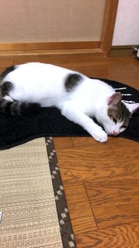 Seventeenの楽曲です ファンの間で何と呼んでいるかなど 教 Yahoo 知恵袋