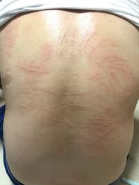 最近学校をズル休みしがちです 高校3年女です 今日はほんとに無理だと思ったら Yahoo 知恵袋